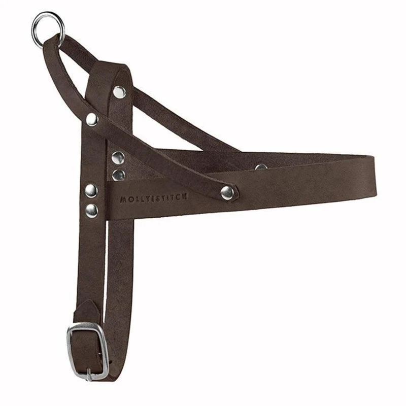 Harnais en cuir pour chien avec poignée de sécurité - BUTTER