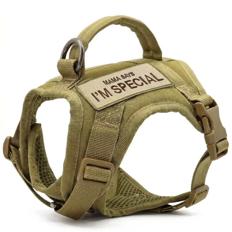 Harnais Chat Militaire