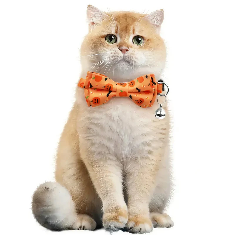 Noeud Papillon Halloween pour Chat