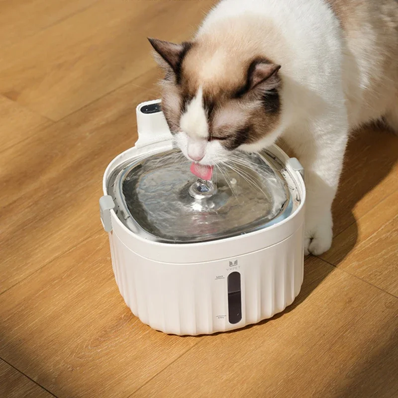 Fontaine à eau pour chat 2L sans fil avec capteur de mouvement et acier inoxydable "Onde Féline"