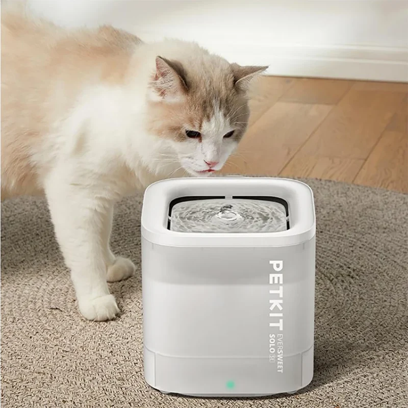 Fontaine à eau pour chat avec filtration et circulation continue "ClairRuisseau"
