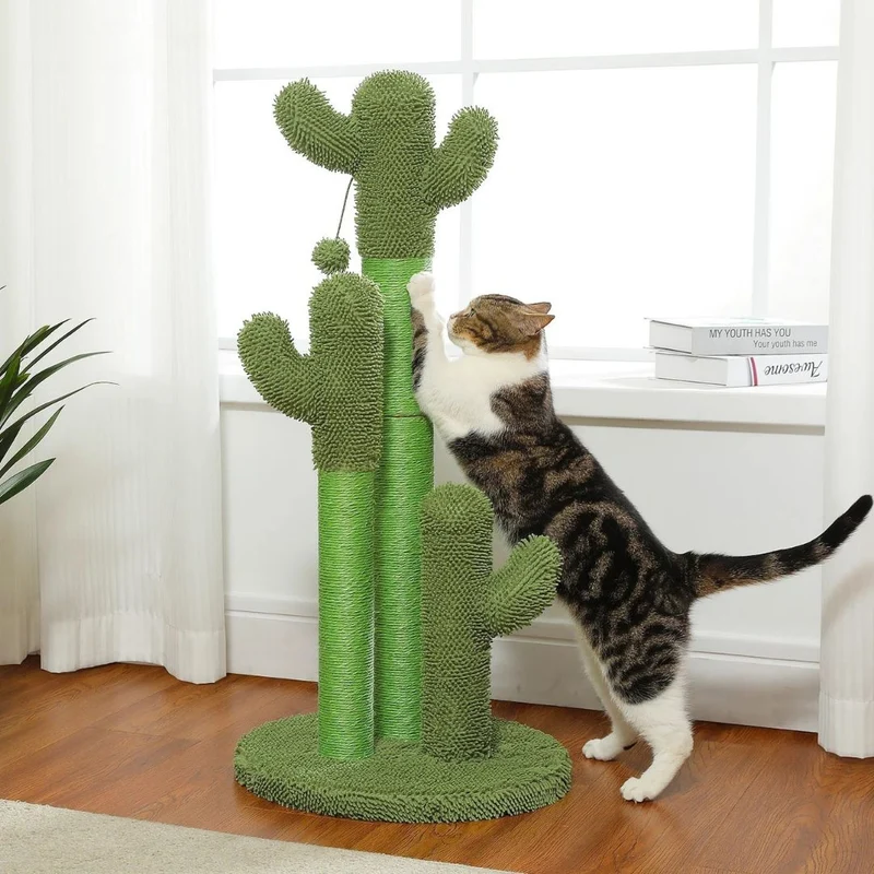 Griffoir chat | CactusPaw™