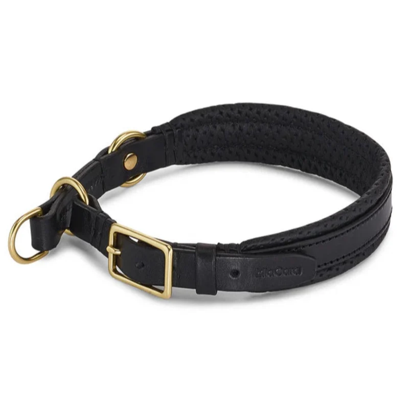 Collier pour chien original - FANO