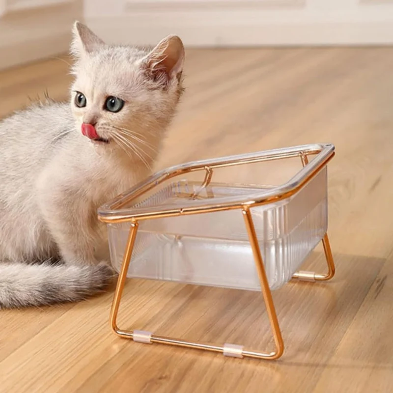 Gamelle chat | ChicMeal™