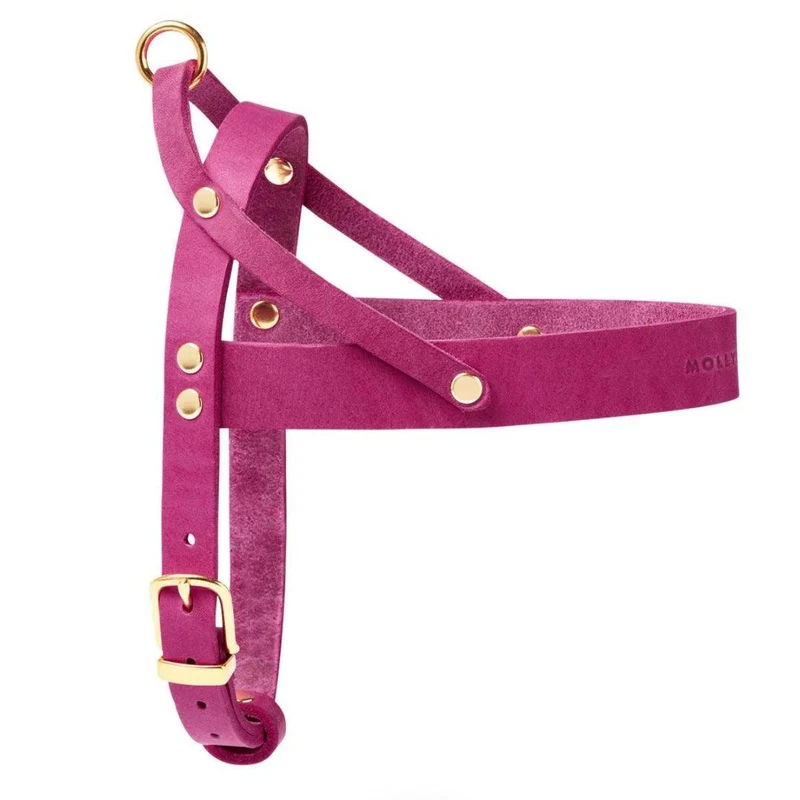 Harnais pour chien en cuir rose avec poignée - Modèle BUTTER FLAMINGO