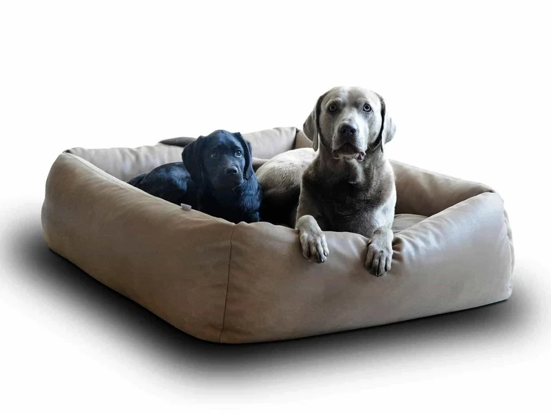 Panier pour chien en cuir - BOOX