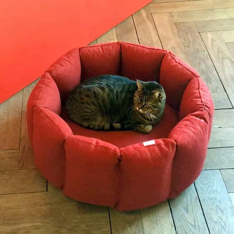 Panier apaisant pour chat - BLOOM