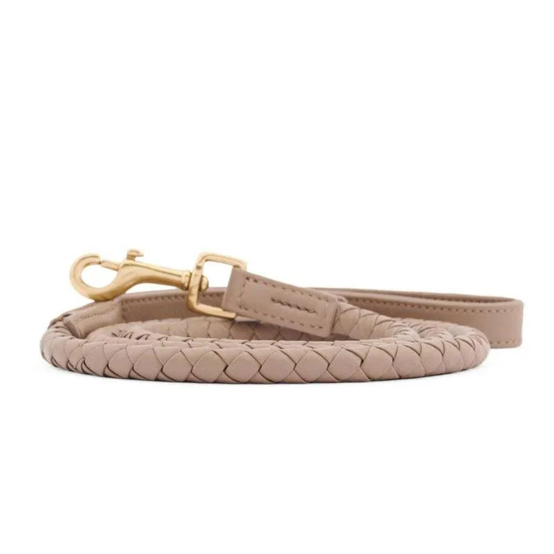 - Laisses pour chien en cuir tressé - TWISTED