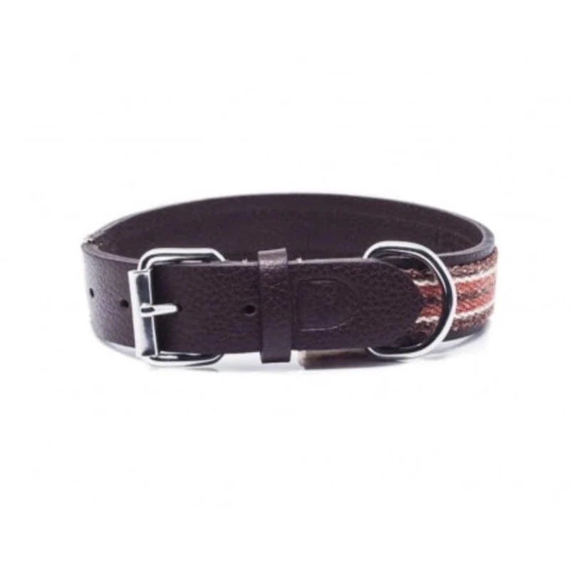 Collier et laisse pour chien vintage - REFORCE
