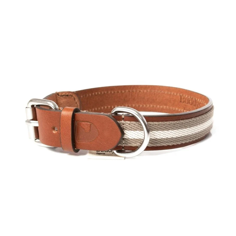 Ensemble collier et laisse pour chien - BASEBALL