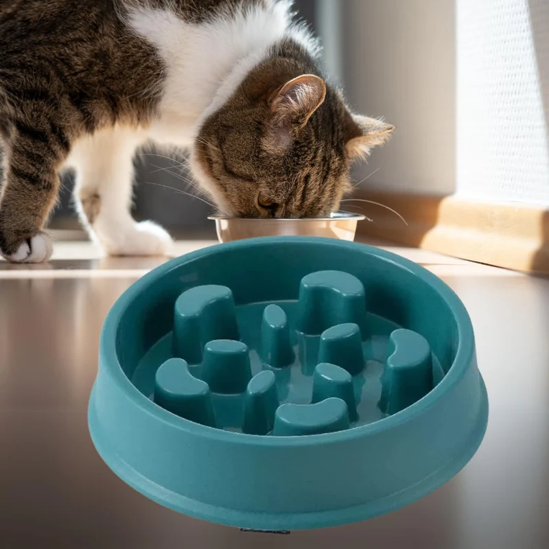 Gamelle anti glouton | SlowFeast™
