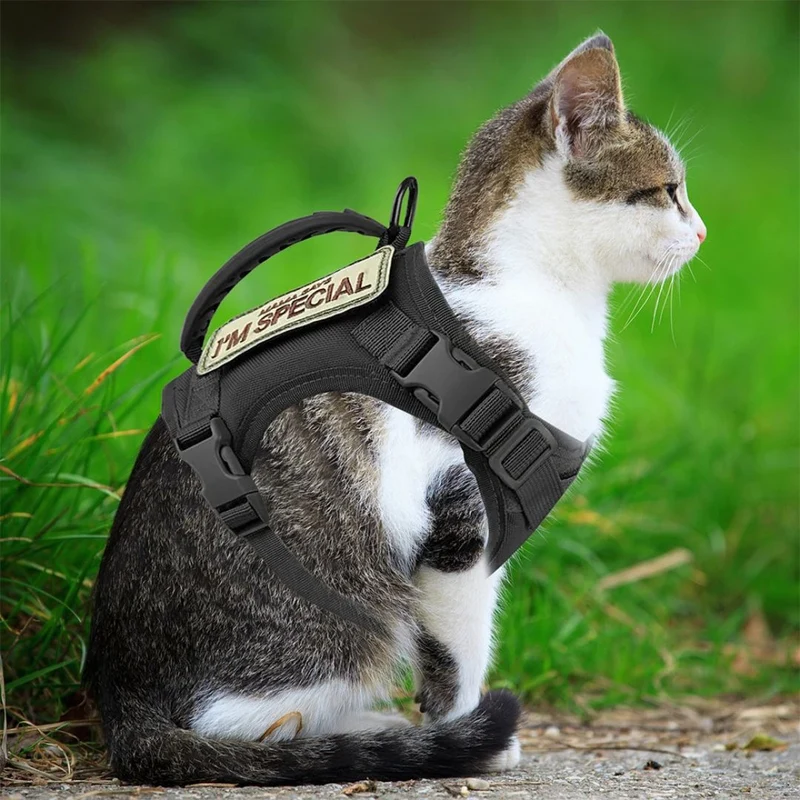 Harnais chat | Purrventure™