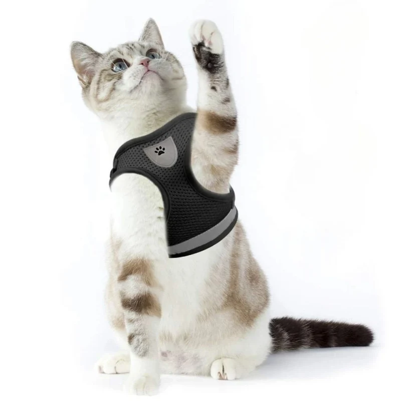 Harnais chat | PurrBalade™