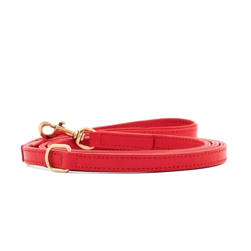 - Laisses en cuir pour chien élégantes - PLAINE