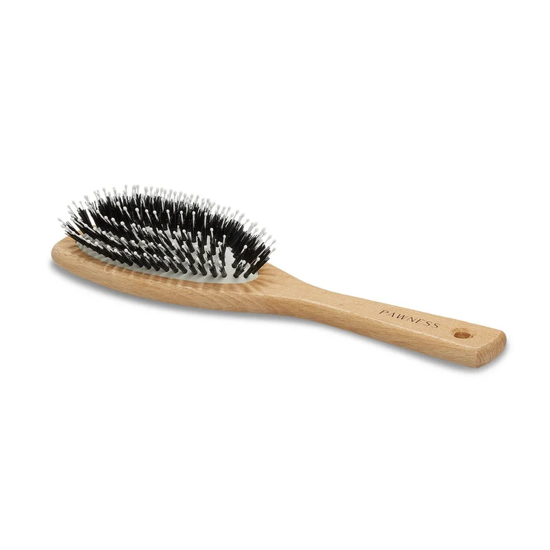 Toilettage du chien : brosse, shampoing et couverture