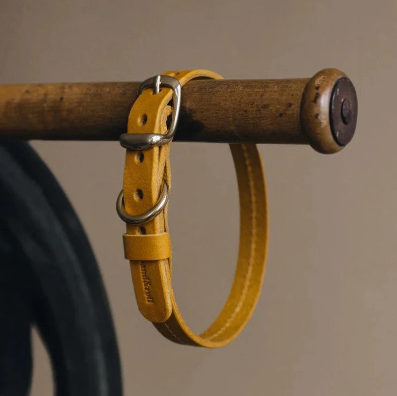 Collier pour petit chien - FIR AIR