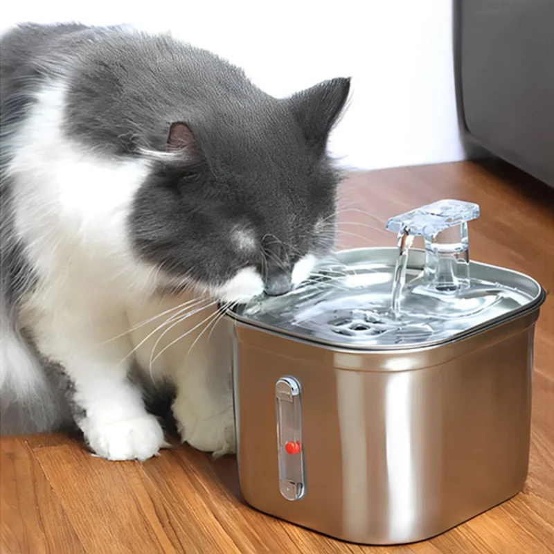 Fontaine a eau chat | KittyStream™