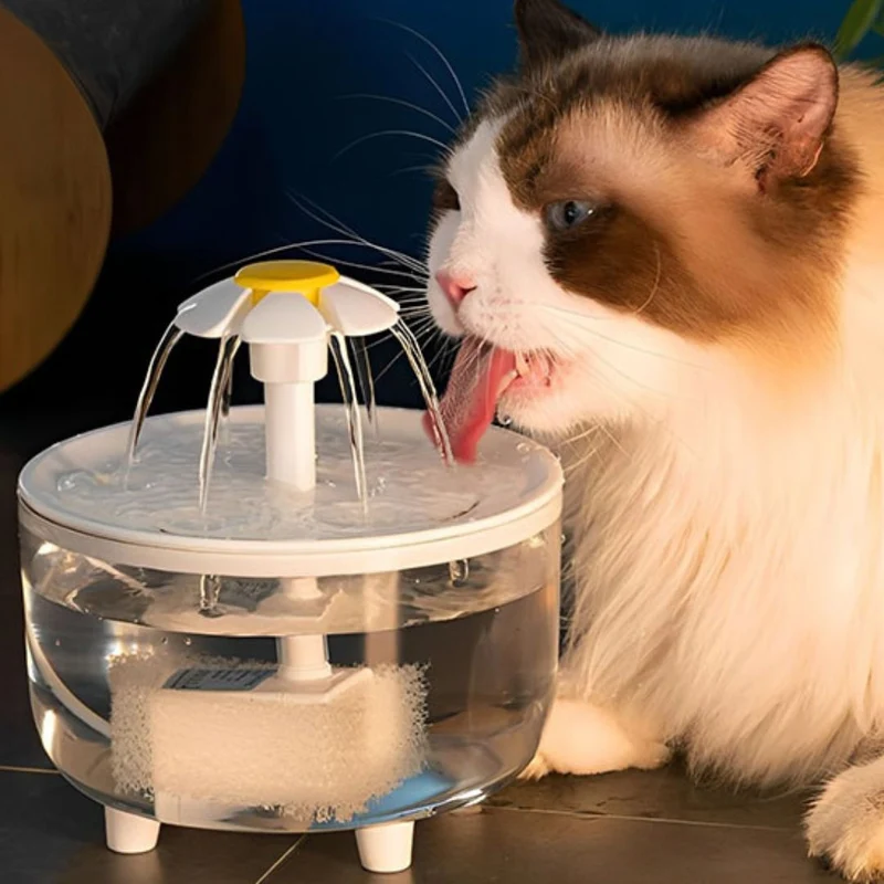Fontaine a eau chat | PetalSpring™