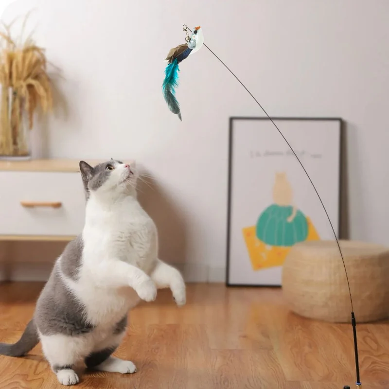 Jouet pour chat | TrappBird™