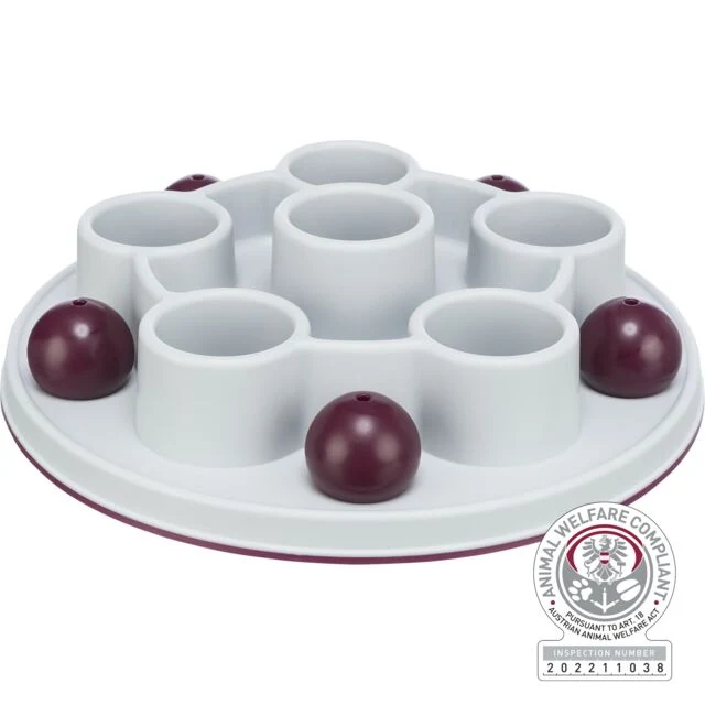 Pentagone Interactif