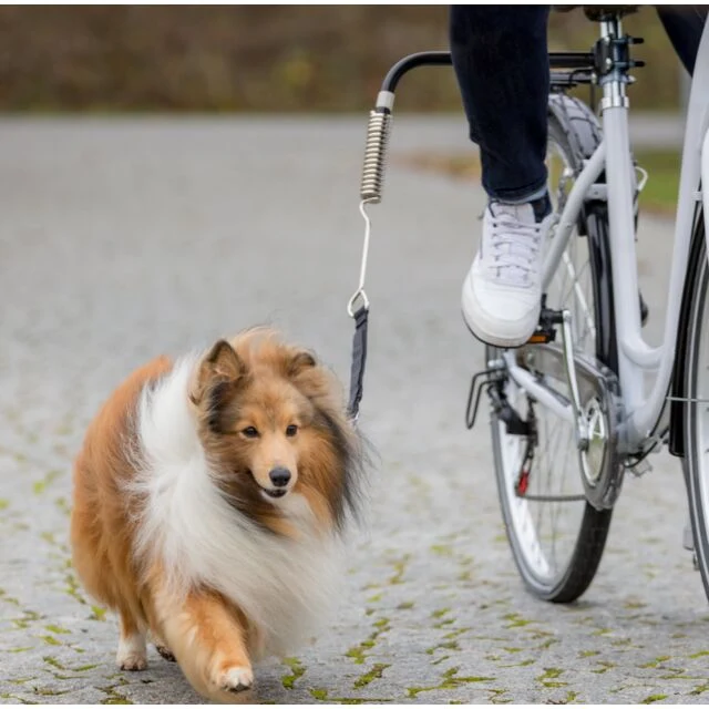 Ensemble à Vélo pour Petits Chiens Trixie