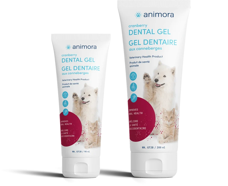 Animora gel dentaire aux canneberges