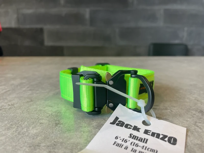 JackEnzo - Collier - Chien