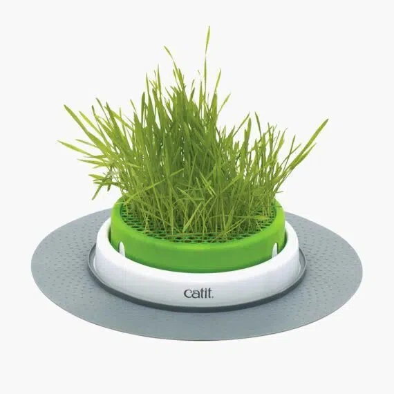 Catit - Senses 2.0 - Jardinière d'Herbe - Chat