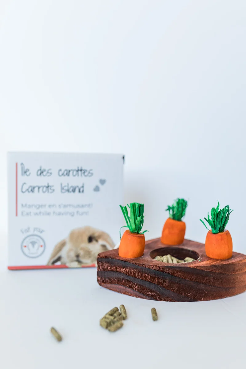 Les Petits Lapins D'Amour - Île aux Carottes - Lapin
