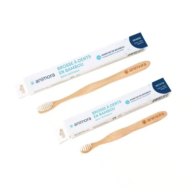 Brosse à Dents en Bambou