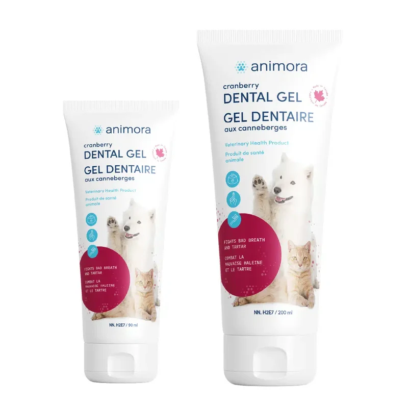 Gel Dentaire aux Canneberges