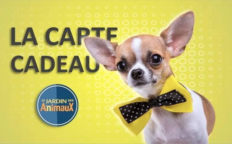 Carte cadeau (Physique pour achat en magasin)
