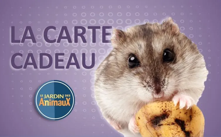 Carte cadeau (Physique pour achat en magasin)