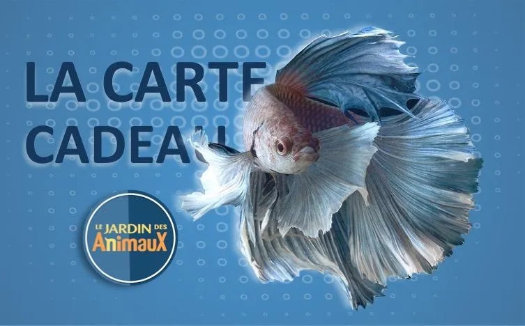 Carte cadeau (Physique pour achat en magasin)