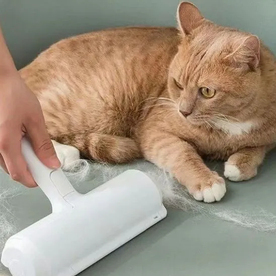 brosse pour chat | MAGICBRUSH