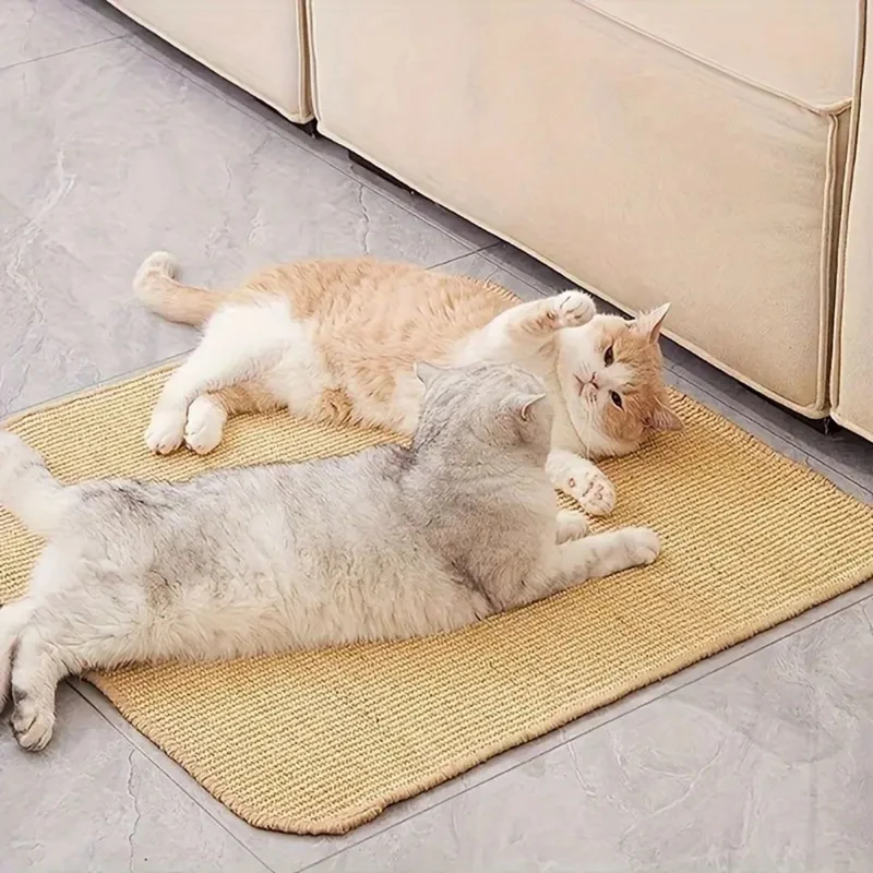 griffoir chat |TAPIS GRIFF'