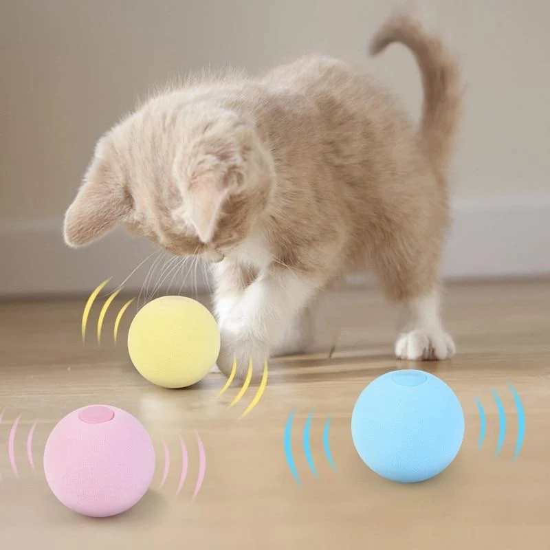 jouet chat interactif | SmartBall