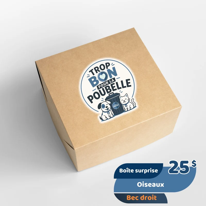 Trop bon pour la poubelle - Oiseau bec droit