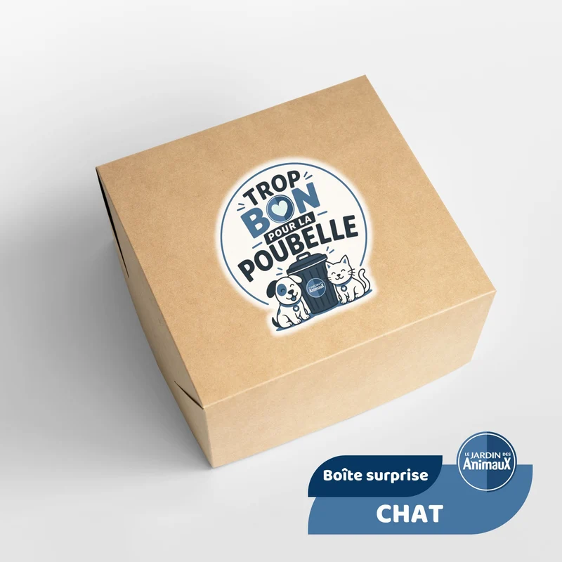 Trop bon pour la poubelle - Chat
