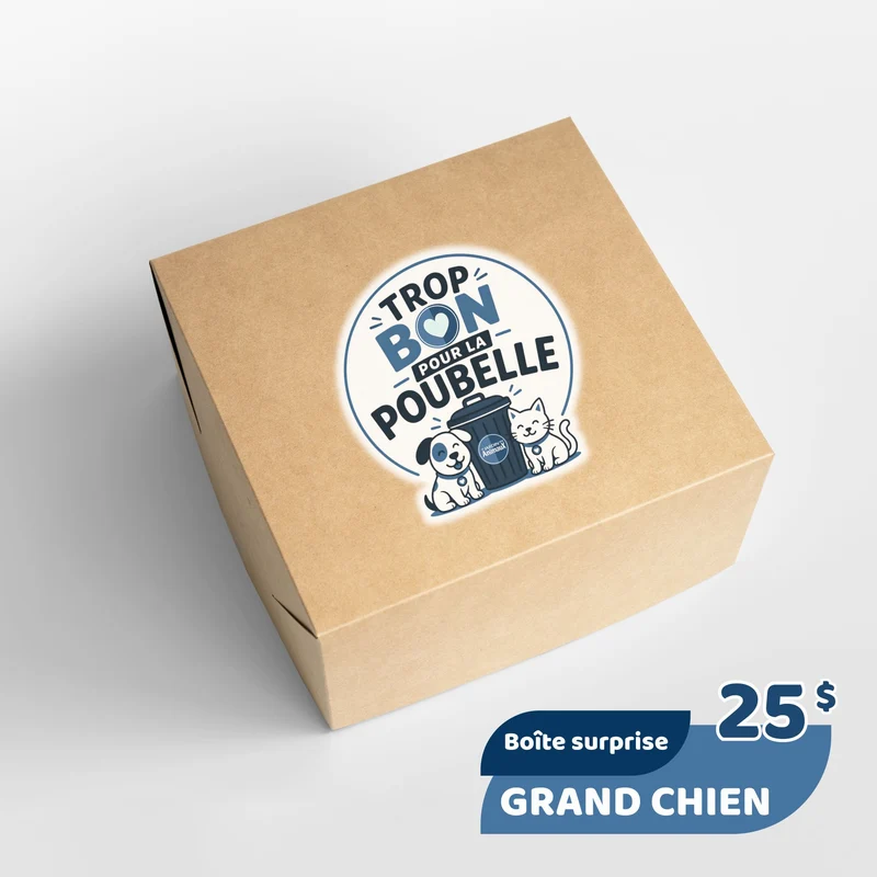 Trop bon pour la poubelle - Grand chien