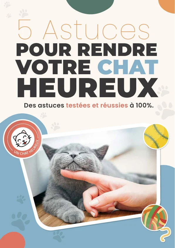Ebook – 5 Conseils pour Rendre Votre Chat Heureux