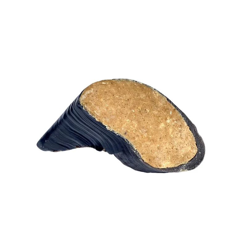 Sabot Farci au Beurre d'Arachide
