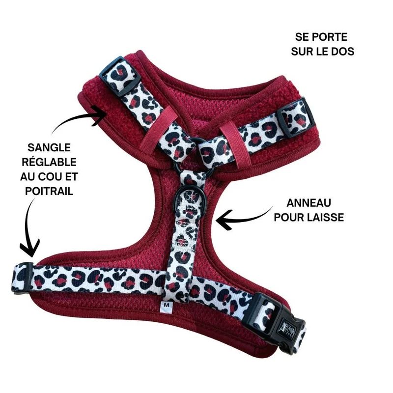 Harnais Classique H Teddy Bordeaux + Léopard – Ultra Doux & Ajustable