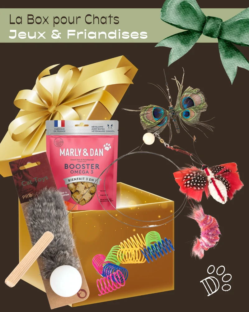 Coffret Deluxe de Noël pour Chat – Nature & Jeu