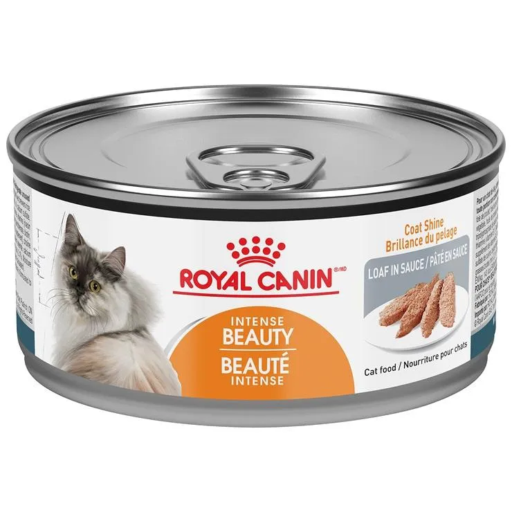 Conserve pour chat Royal Canin - Pâté en sauce Beauté Intense