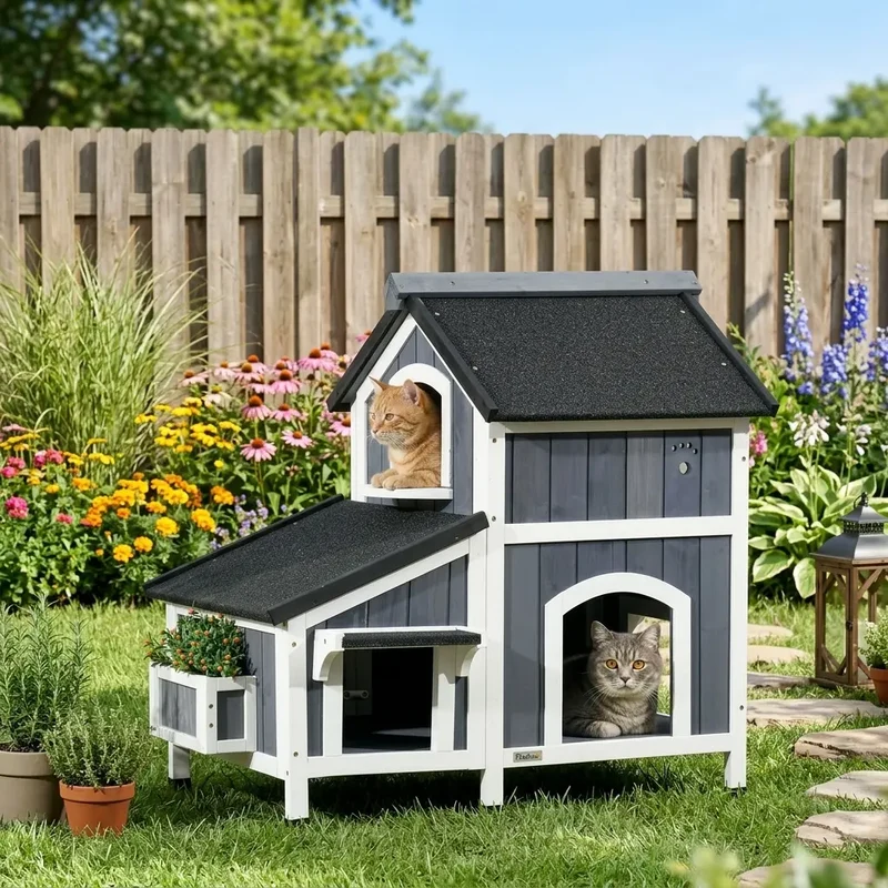 Maison chat extérieur été