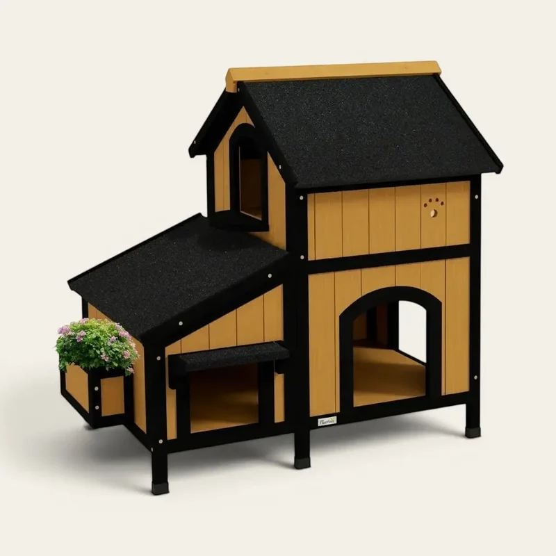 Maison chat extérieur été