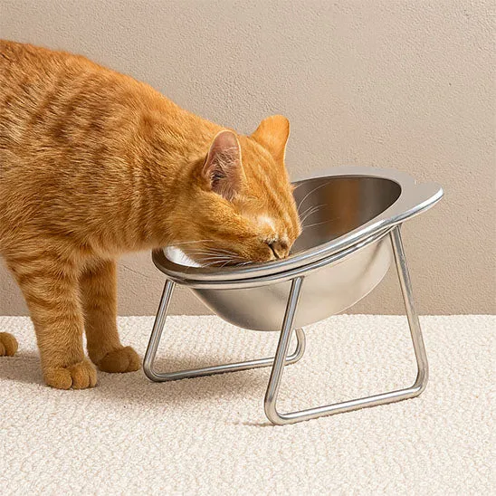 Gamelle chat - Surélevée en Acier Inoxydable