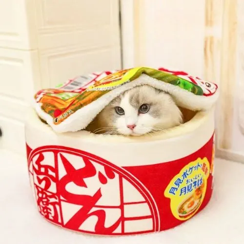 panier chat nouilles japonaises