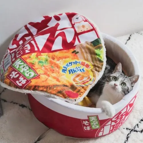 niche pour chat nouilles japonaises